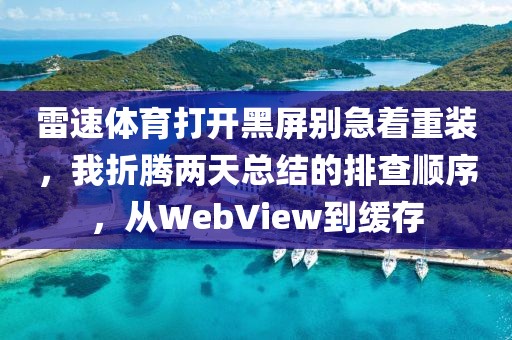 雷速体育打开黑屏别急着重装，我折腾两天总结的排查顺序，从WebView到缓存