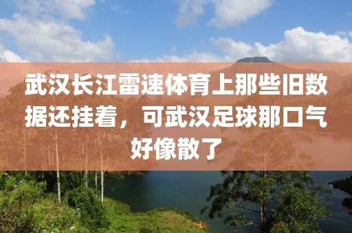 武汉长江雷速体育上那些旧数据还挂着,可武汉足球那口气好像散了