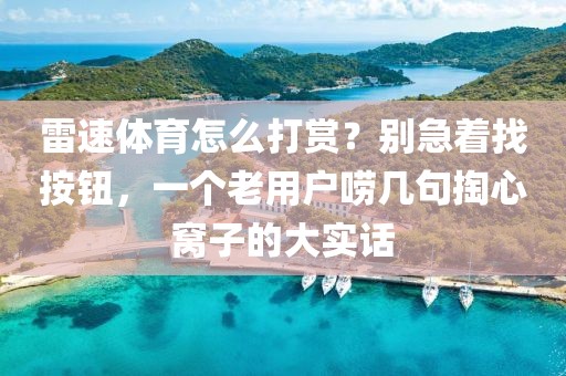 雷速体育怎么打赏？别急着找按钮，一个老用户唠几句掏心窝子的大实话